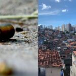 Federação e Engenho Velho da Federação já contabilizaram 35 ocorrências em 2025