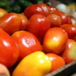 Brasil abre mercado para produto agropecuário na Argentina e no Paraguai