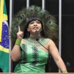Comissão aprova criação de política para repatriar objetos culturais de povos indígenas – Notícias