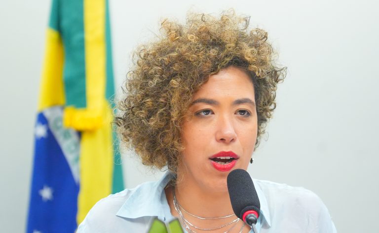 Seminário Preparatório para a COP-30. Dep. Talíria Petrone (PSOL - RJ)