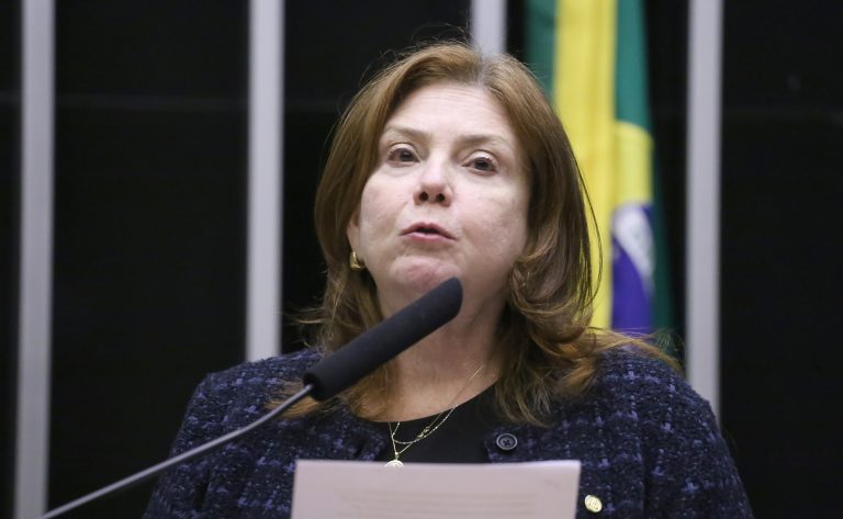 Discussão e votação de propostas legislativas. Dep. Fernanda Pessoa (UNIÃO - CE)