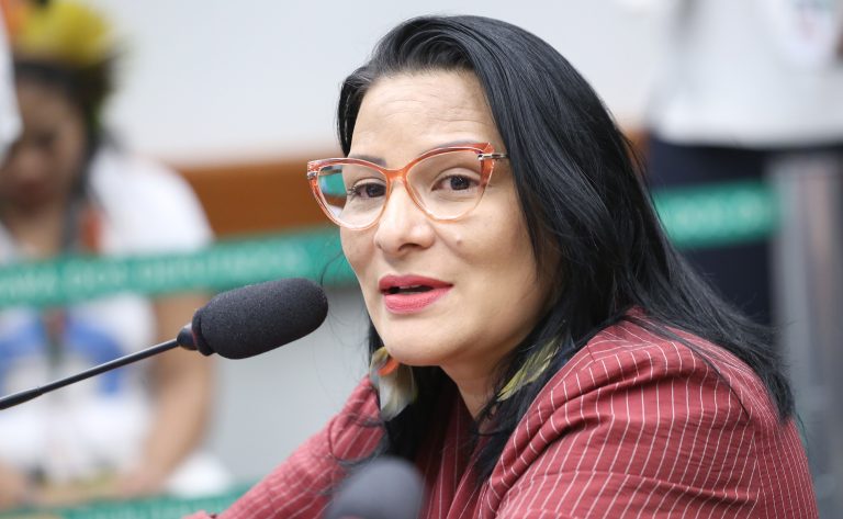 Tribuna das Mulheres e discussão e votação de propostas legislativas. Dep. Juliana Cardoso (PT - SP)