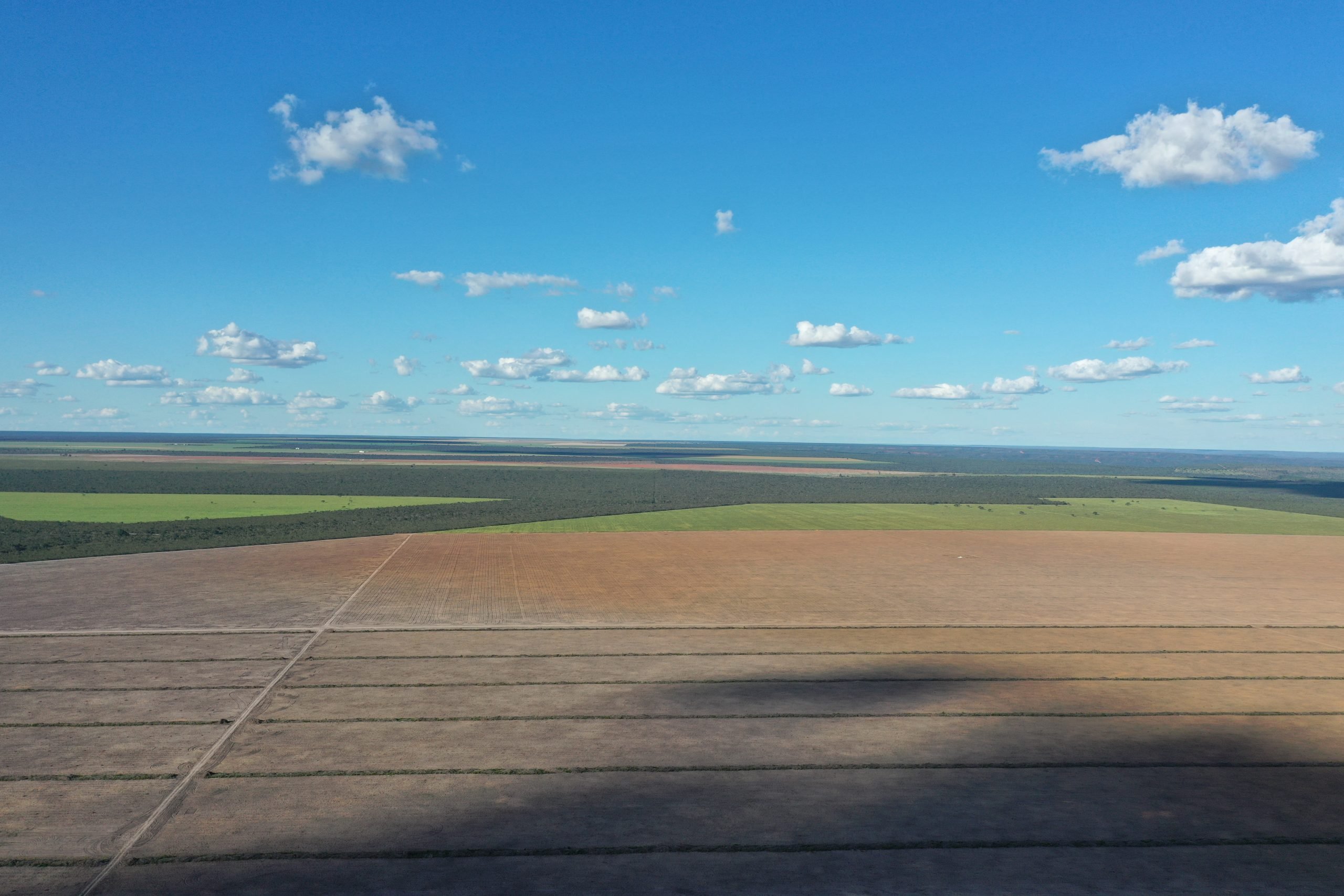 Dos 30 mil projetos em tramitação no Congresso, somente oito propõem ações para a preservação do Cerrado