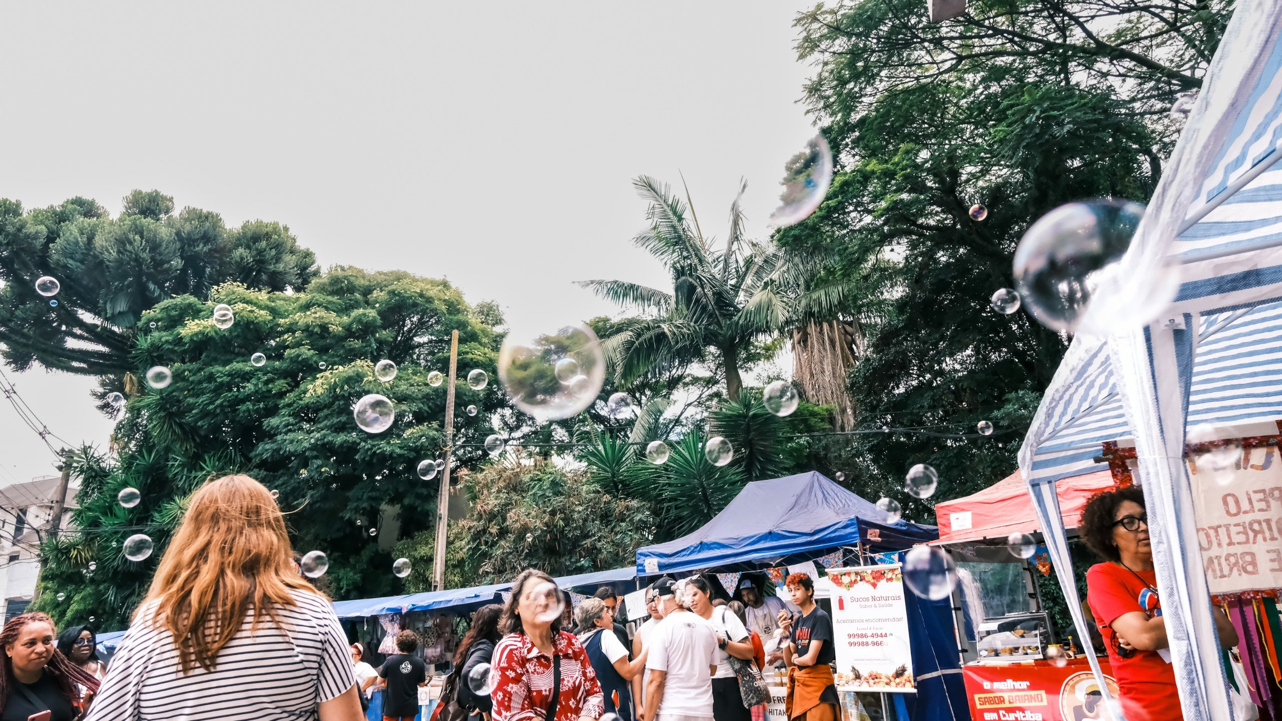 Feira de Economia Solidária em Curitiba tem artesanato, comidas típicas e atrações culturais neste sábado (20)