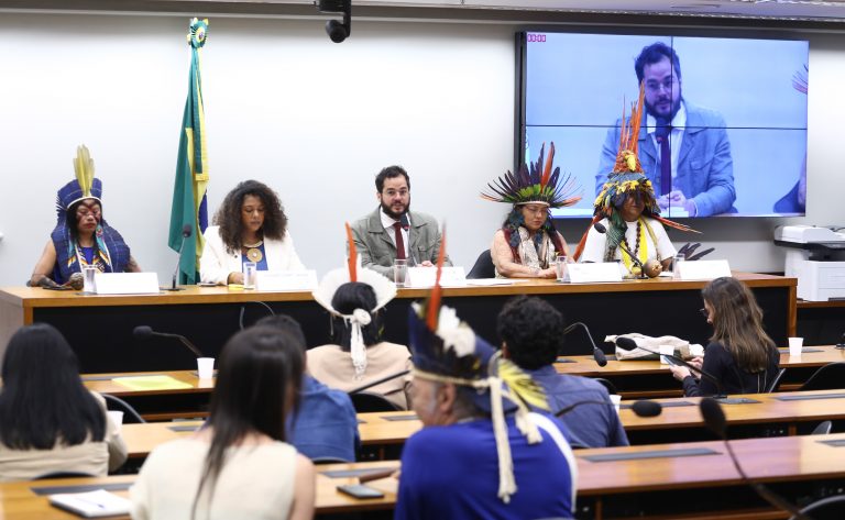 Audiência Pública valorização dos Pajés e seu papel frente à manutenção da cultura.