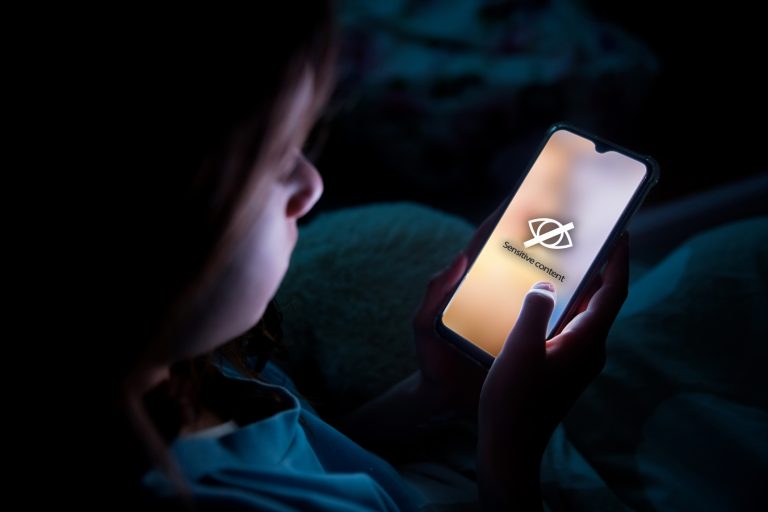 Grupo de Trabalho debate prevenção de riscos em ambiente digital para proteger crianças e adolescentes - Notícias