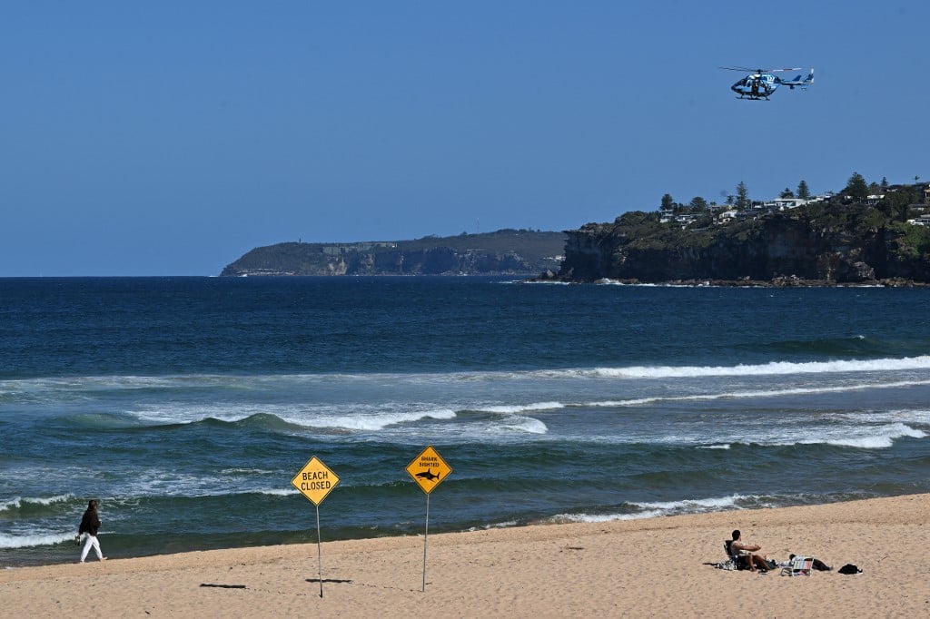 Homem morre em praia de Sydney após ataque de 'grande tubarão' – CartaCapital