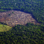 Pesquisa mede impacto de mudanças do clima e desmatamento na Amazônia – CartaCapital