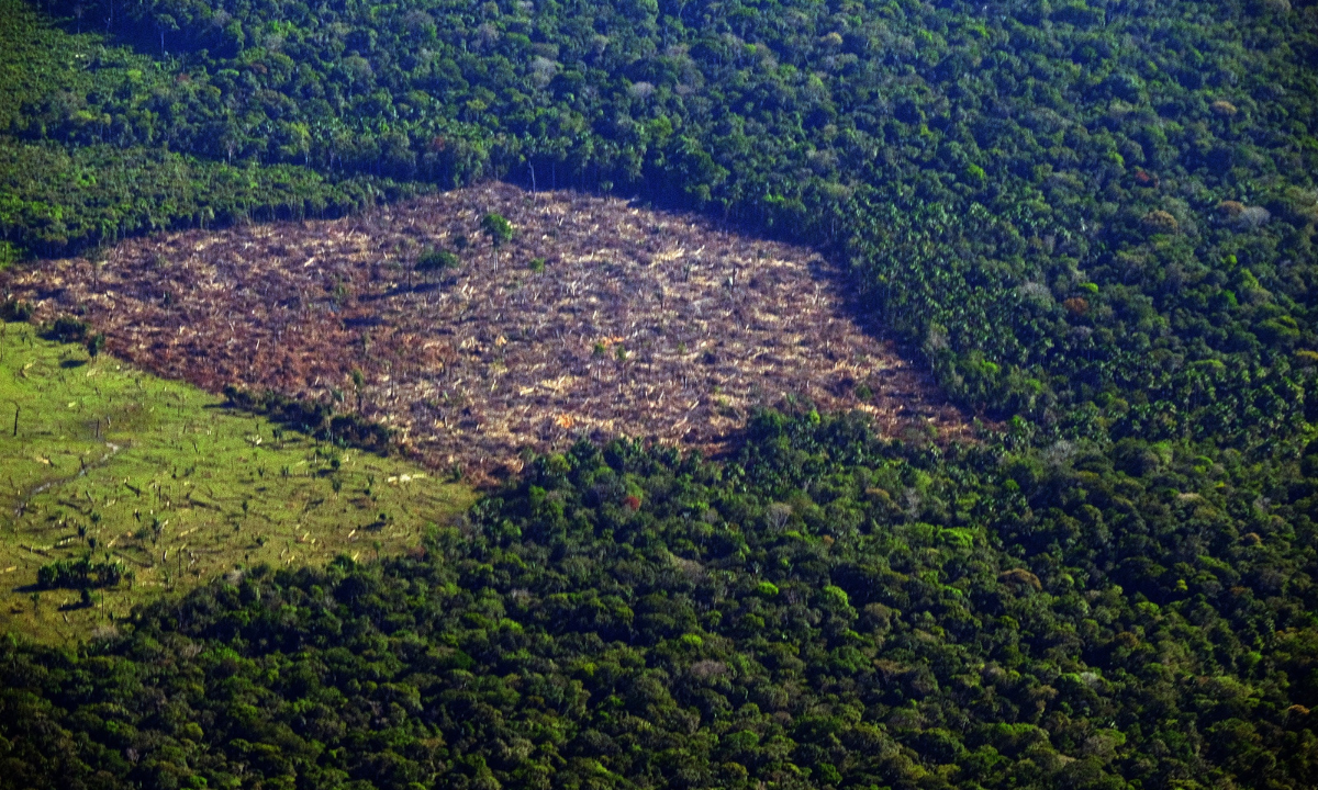 Pesquisa mede impacto de mudanças do clima e desmatamento na Amazônia – CartaCapital
