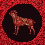 Veja as características do signo do Cachorro no Horóscopo Chinês – CartaCapital