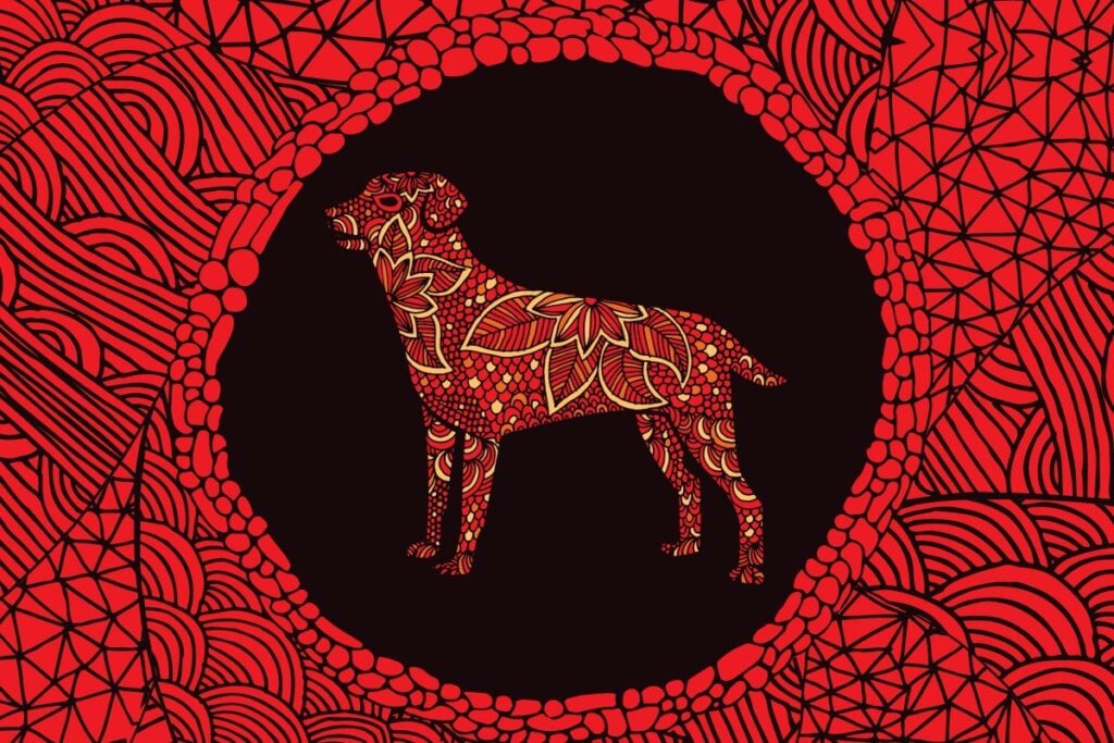 Veja as características do signo do Cachorro no Horóscopo Chinês – CartaCapital