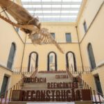 Catálogo inédito do Museu Nacional reúne fotografias históricas