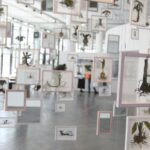 36ª Bienal de São Paulo abre suas portas neste sábado, no Ibirapuera