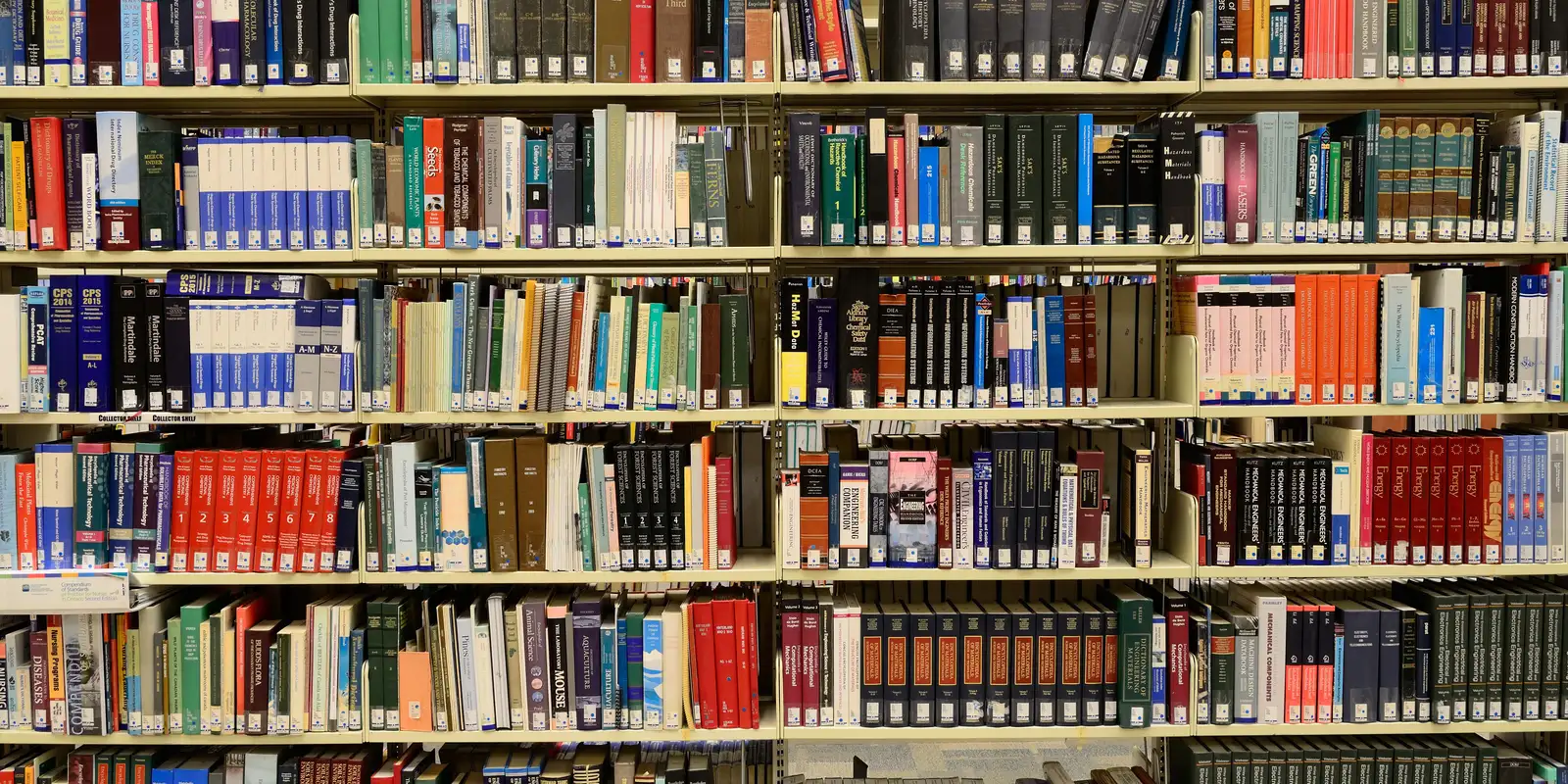 Evento em Quixadá (CE) celebra a literatura e o trabalho de autores