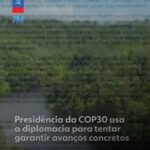 Brasil está em 'negociação avançada' com China e UE para criar um mercado internacional de carbono, diz Haddad