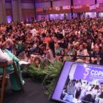Brasília: conferencistas exigem políticas para todas as “mulheridades”
