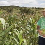 Clima hostil – CartaCapital