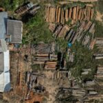 Desmatamento desacelera no mundo, mas ainda se propaga rápido no Brasil, alerta FAO – CartaCapital
