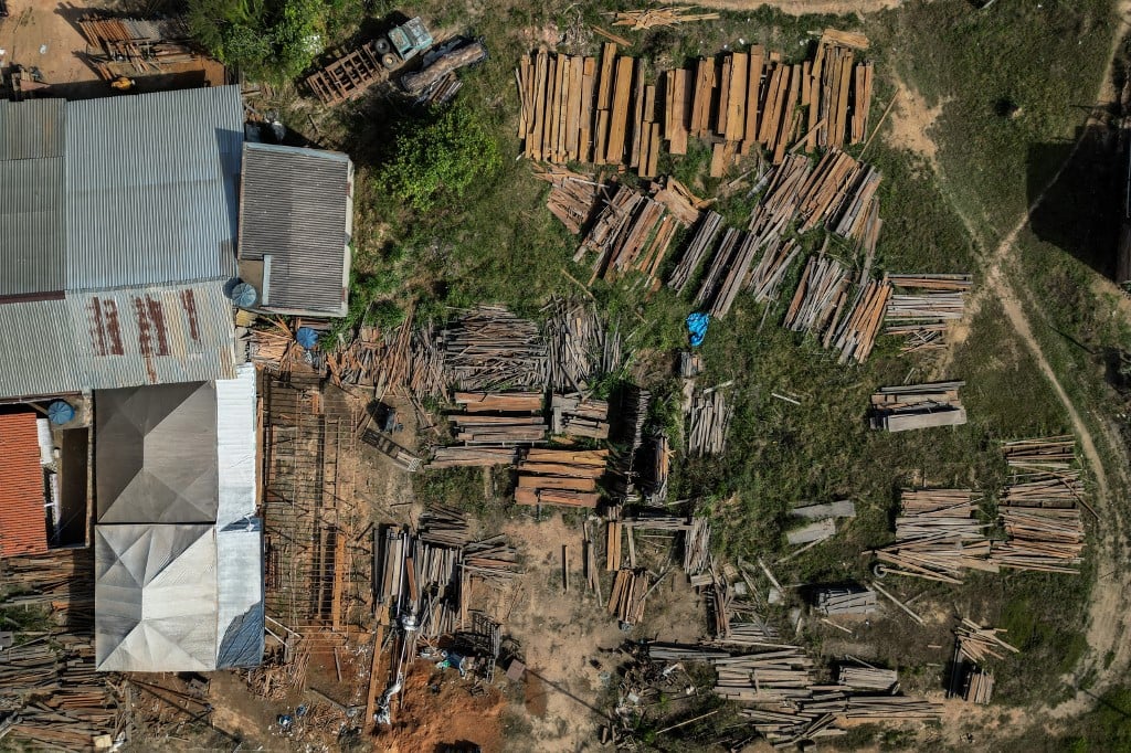 Desmatamento desacelera no mundo, mas ainda se propaga rápido no Brasil, alerta FAO – CartaCapital