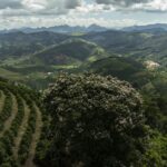 Ecos do Caparaó – CartaCapital