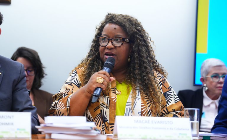 Audiência Pública – apresentação de planos e a agenda estratégica da Pasta para os próximos anos. Ministra dos Direitos Humanos e da Cidadania, Macaé Evaristo