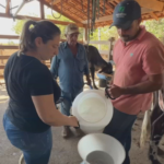 Os desafios dos pequenos produtores de leite para aumentar a lucratividade