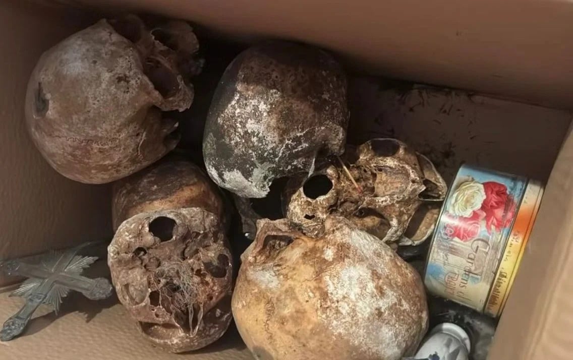 Polícia encontra mais de 12 crânios e ossos humanos em apartamento no Jardim Paulista, em São Paulo – CartaCapital