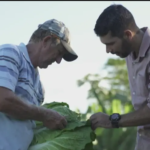 Produtores de Paranaíta transformam agricultura familiar em fonte de renda – CartaCapital