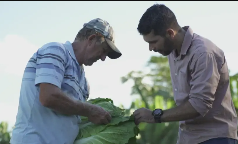 Produtores de Paranaíta transformam agricultura familiar em fonte de renda – CartaCapital