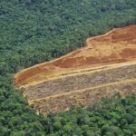 Redução do desmatamento será um trunfo do Brasil na COP30 – CartaCapital