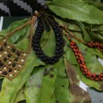 Sebrae leva biodiversidade às passarelas do SPFW – CartaCapital