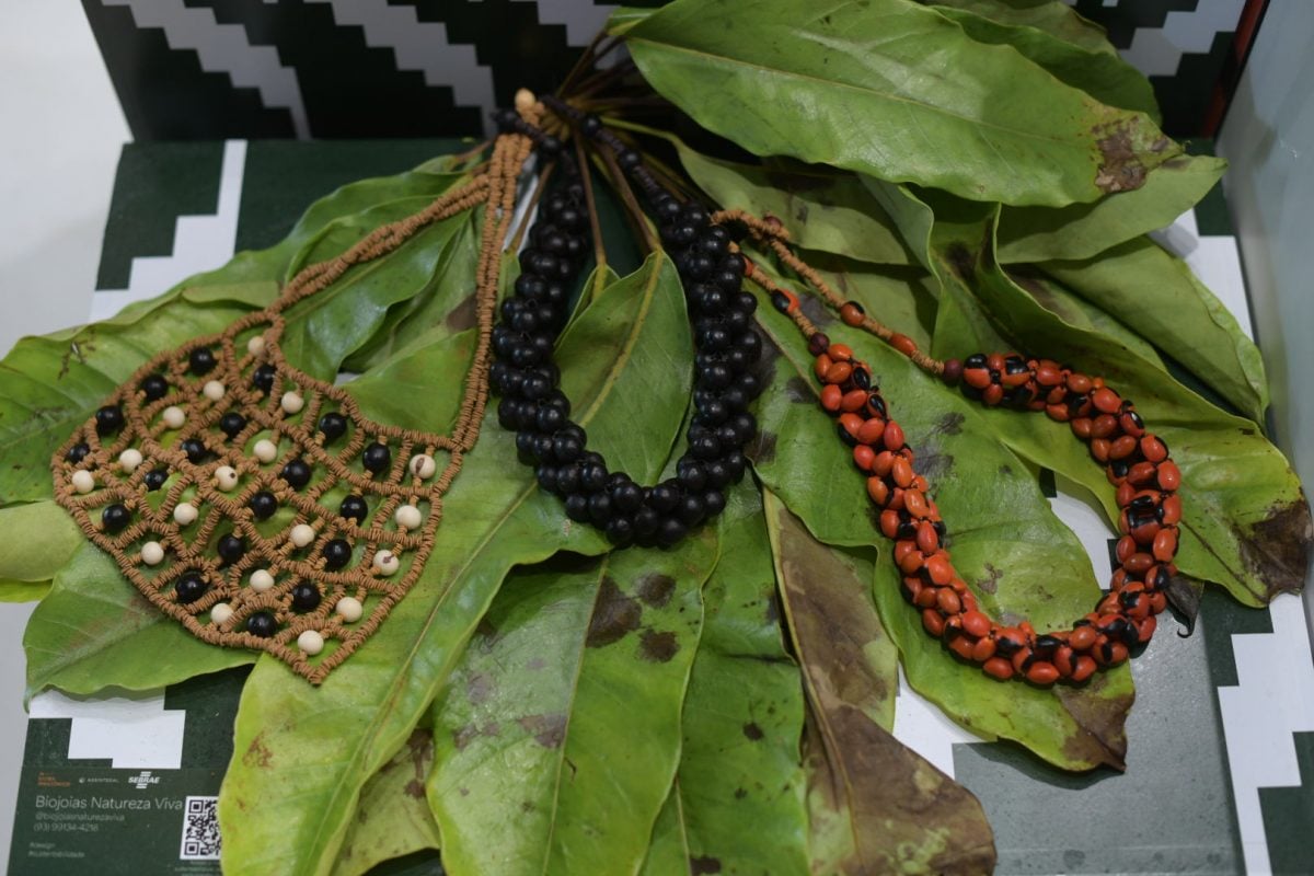 Sebrae leva biodiversidade às passarelas do SPFW – CartaCapital