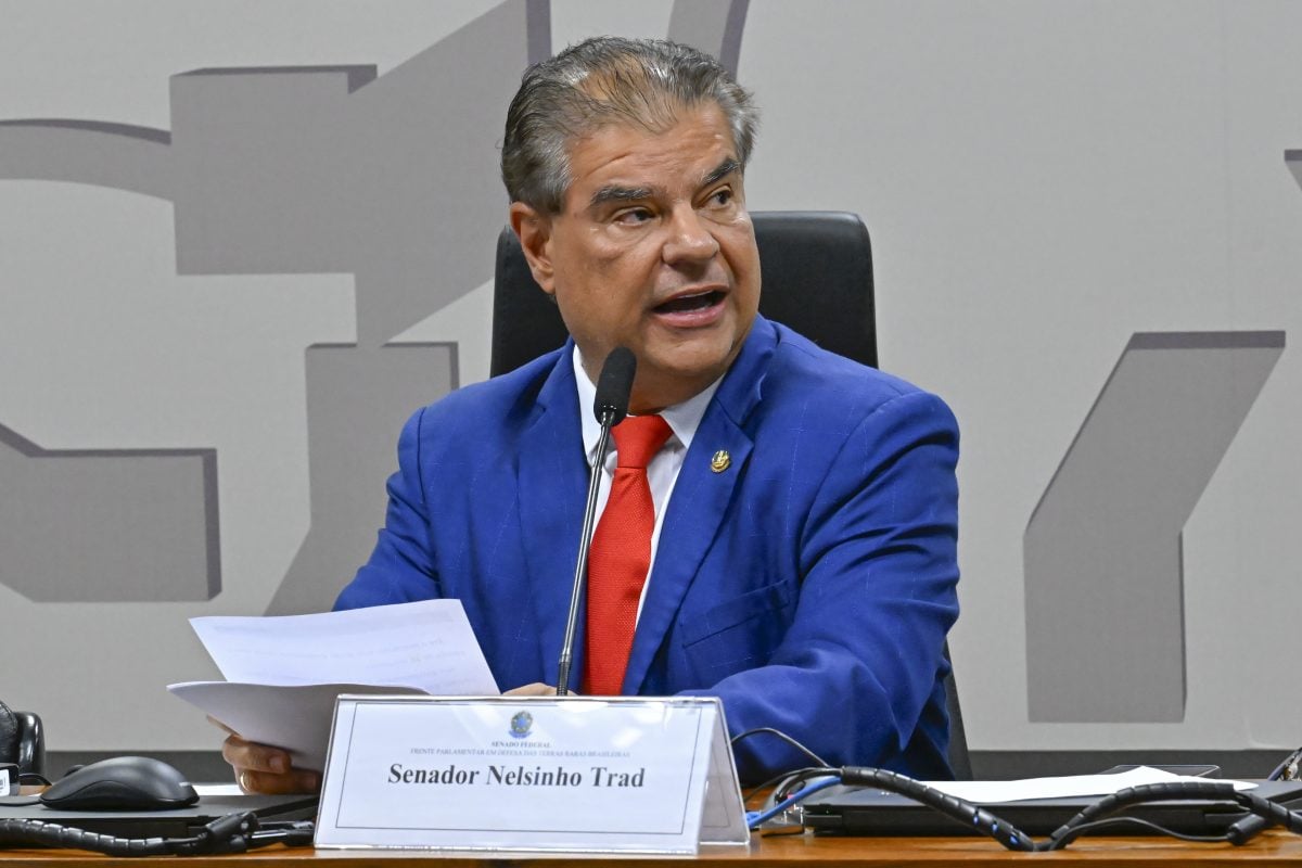 Senado instala Frente Parlamentar em Defesa das Terras Raras – CartaCapital