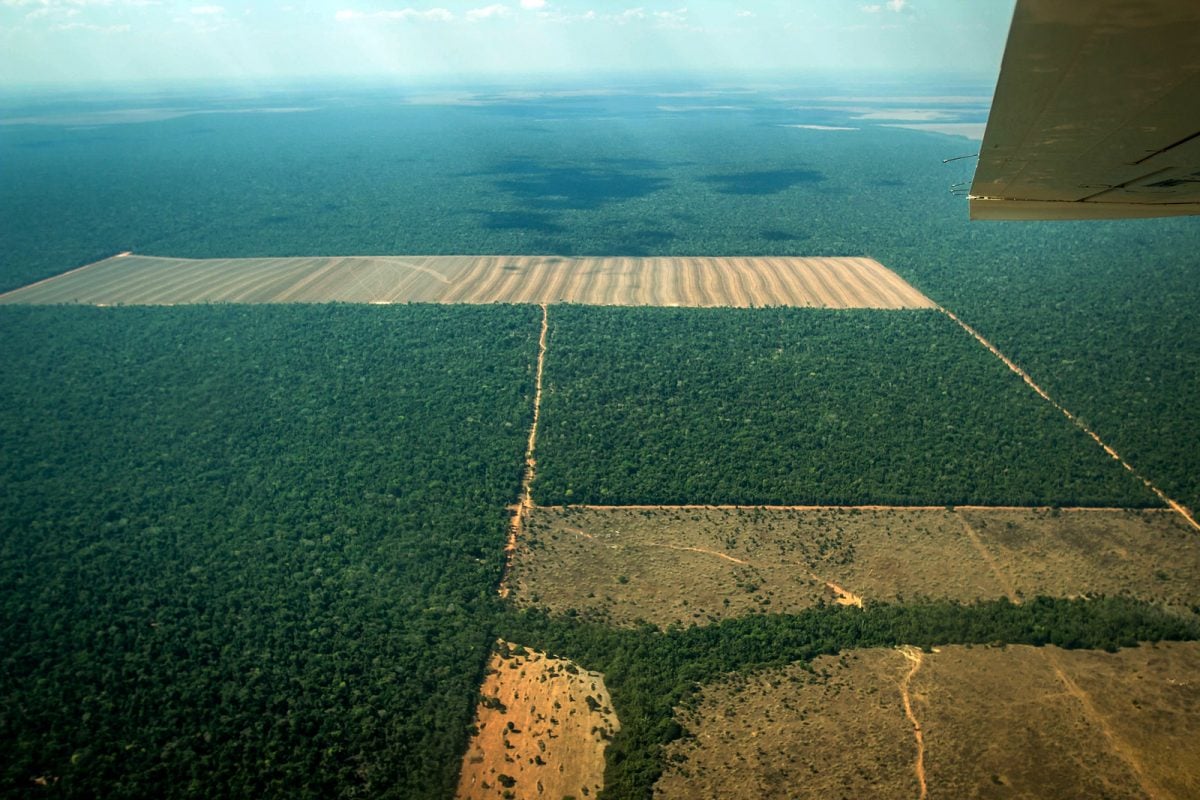 'The Economist' elogia ações do Brasil para salvar as florestas – CartaCapital