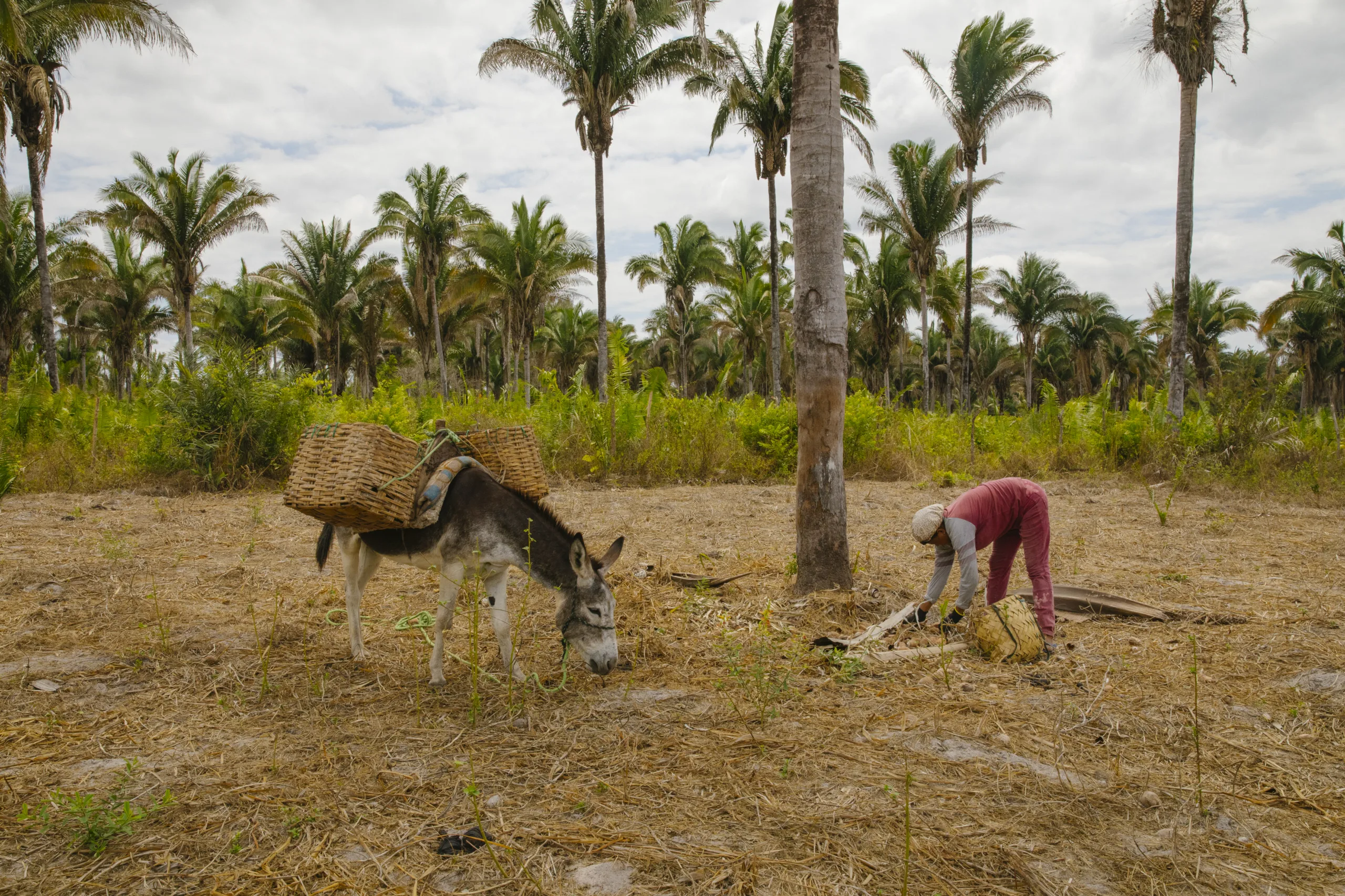 ‘Único caminho para adiar o fim do mundo’ — Brasil de Fato