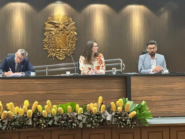 COP30: Redução de emissões de metano é crucial e urgente para limitar aquecimento global - Notícias