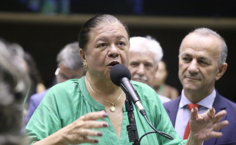 Discussão e votação de propostas legislativas. Dep. Laura Carneiro (PSD - RJ)