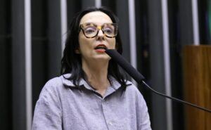 Discussão e votação de propostas legislativas. Dep. Ana Pimentel (PT - MG)