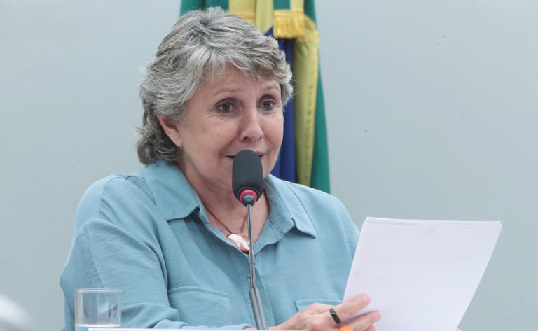 Deputada Erika Kokay (PT-DF) fala em comissão na Câmara dos Deputados