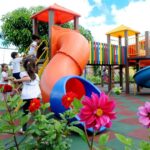 Comissão especial debate saúde e nutrição na primeira infância – Notícias