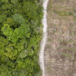 Em clima da desinformação, o acesso à comunicação é questão de justiça climática – CartaCapital