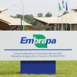 Embrapa revolucionou agricultura brasileira, diz pesquisa dos EUA
