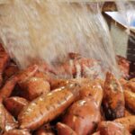 Estiagem derruba produção de batata-doce no Oeste Paulista