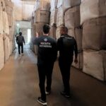 Fraude no comércio de café: grupo formado por empresários, produtores e policial civil causou rombo que pode chegar a R$ 1 bi