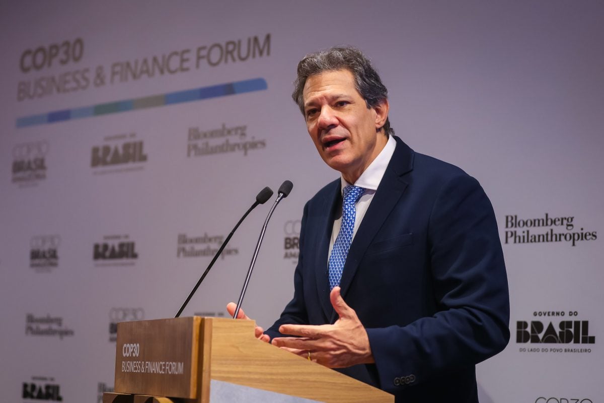 Fundo das florestas pode arrecadar US$ 10 bilhões no primeiro ano, diz Haddad – CartaCapital