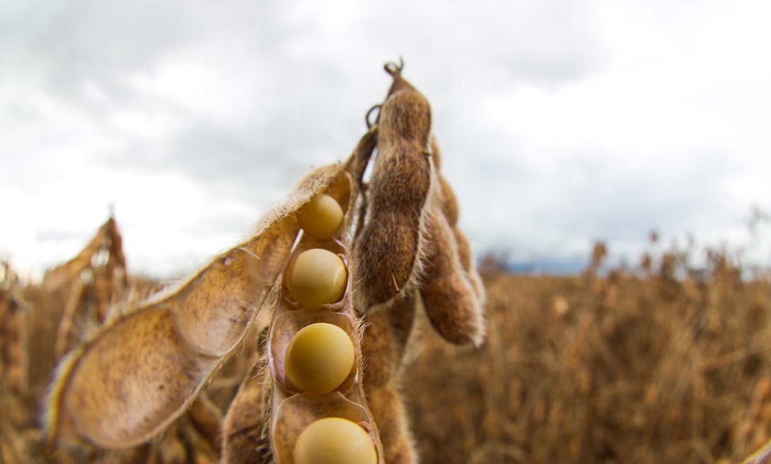 Inadimplência no agro bate recorde e chega a 8,1%