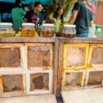 Medida provisória abre crédito orçamentário para apoiar agricultura familiar afetada por tarifaço – Notícias