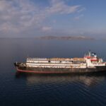 Navio com 3 mil vacas: Europa pressionada a salvar animais