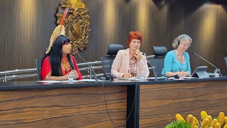Parlamentares mulheres defendem integração entre gênero e clima em debate na COP30 - Notícias