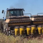 Plantio do milho segunda safra avança com chegada de chuvas